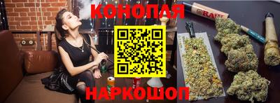 стафф Обь