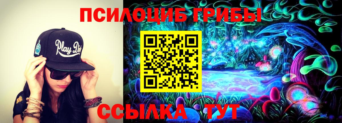 Псилоцибиновые грибы Cubensis  Вход с VPN  закладка  Рославль 